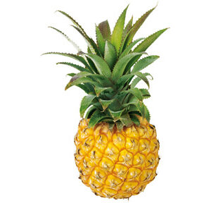 Ananas