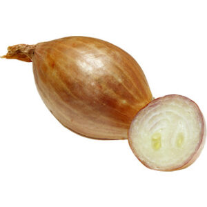 Echalote
