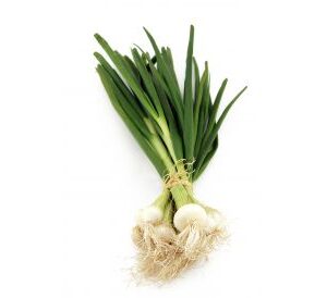 Oignons botte
