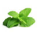 Menthe