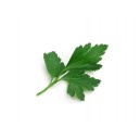 Persil plat