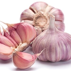 Ail violet frais