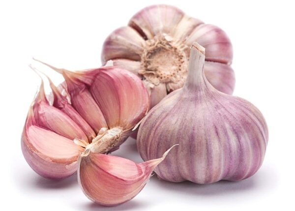 Ail violet frais
