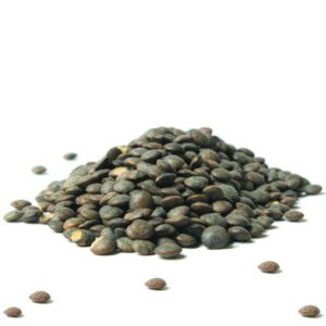 Lentille