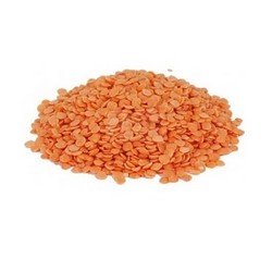Lentille corail