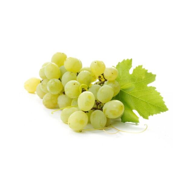 Green Grapes loose