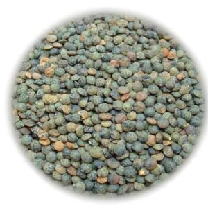 Lentilles vertes